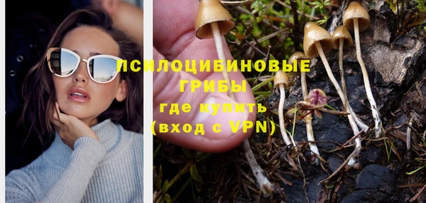 дурь Аркадак