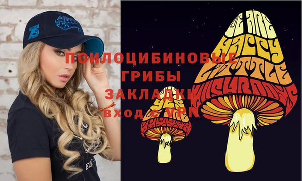 молекула духа Арсеньев