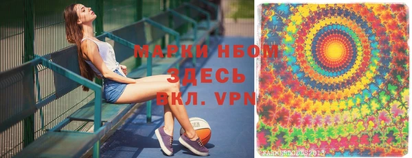 стафф Алексин