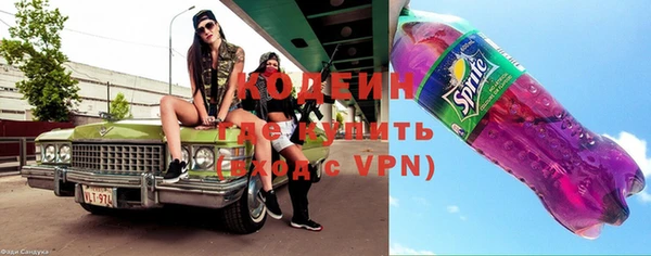 молекула духа Арсеньев
