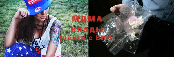 ГАЛЛЮЦИНОГЕННЫЕ ГРИБЫ Алзамай