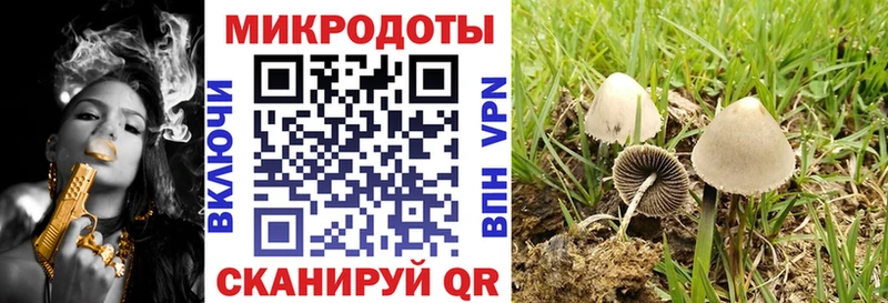Галлюциногенные грибы MAGIC MUSHROOMS  Светлоград 